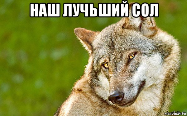 наш лучьший сол , Мем   Volf