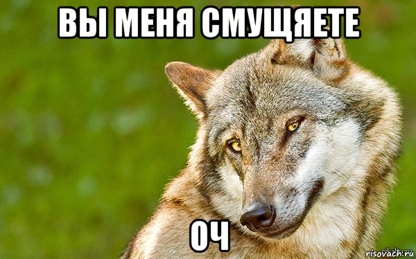 вы меня смущяете оч, Мем   Volf