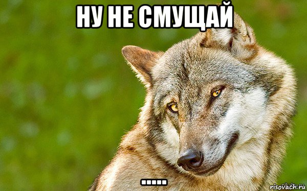 ну не смущай ....., Мем   Volf