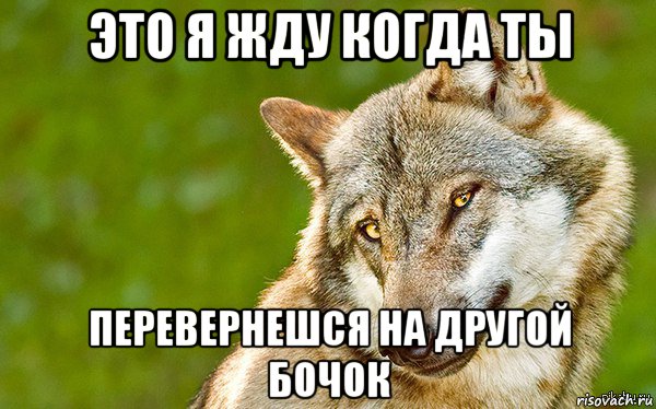 это я жду когда ты перевернешся на другой бочок, Мем   Volf