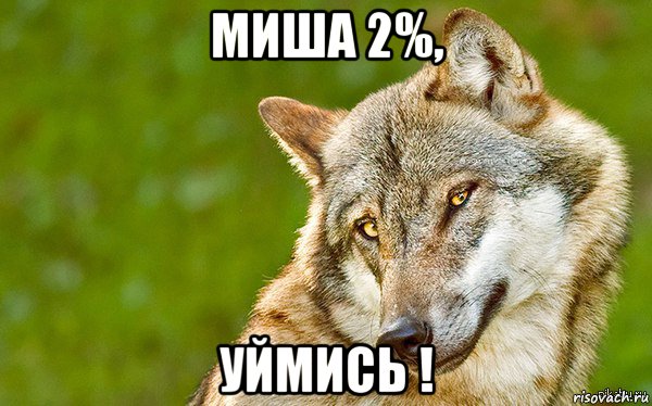 миша 2%, уймись !, Мем   Volf