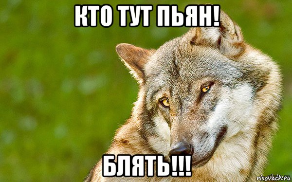 кто тут пьян! блять!!!, Мем   Volf