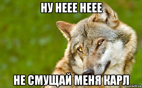 ну неее неее не смущай меня карл, Мем   Volf