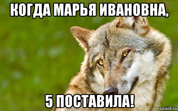 когда марья ивановна, 5 поставила!, Мем   Volf