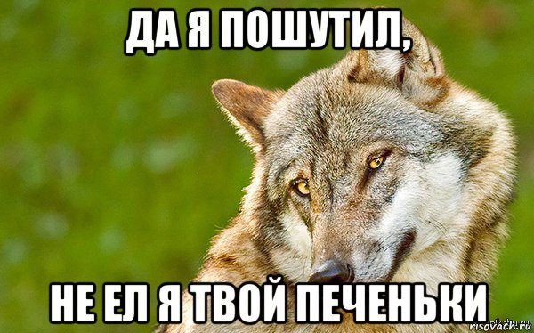 да я пошутил, не ел я твой печеньки, Мем   Volf