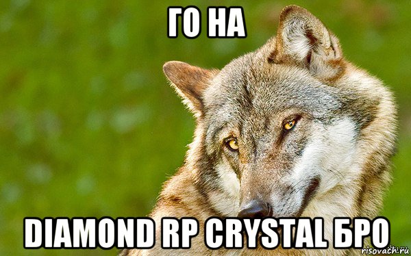 го на diamond rp crystal бро, Мем   Volf