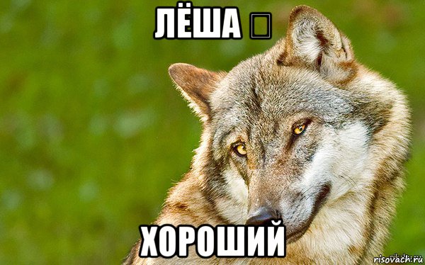 лёша ❤ хороший, Мем   Volf