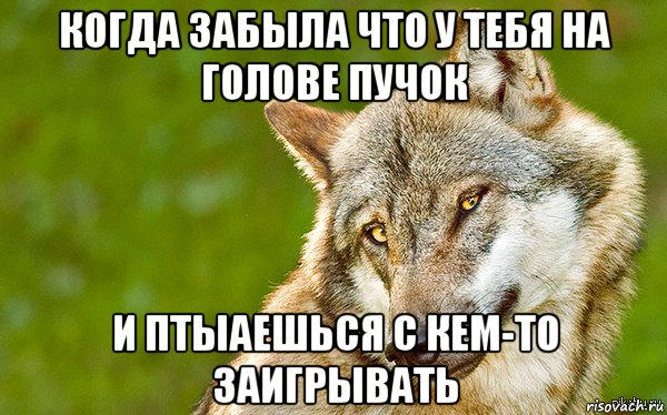 когда забыла что у тебя на голове пучок и птыаешься с кем-то заигрывать, Мем   Volf