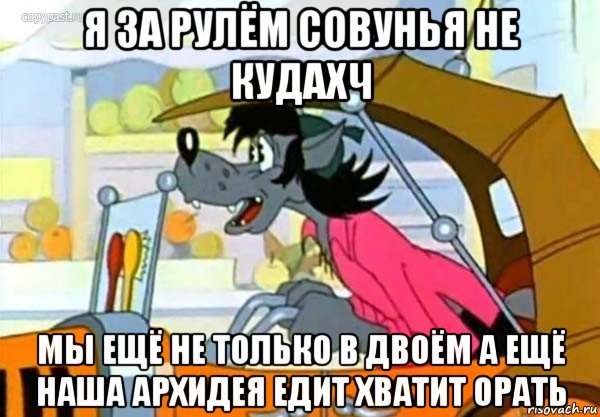 я за рулём совунья не кудахч мы ещё не только в двоём а ещё наша архидея едит хватит орать