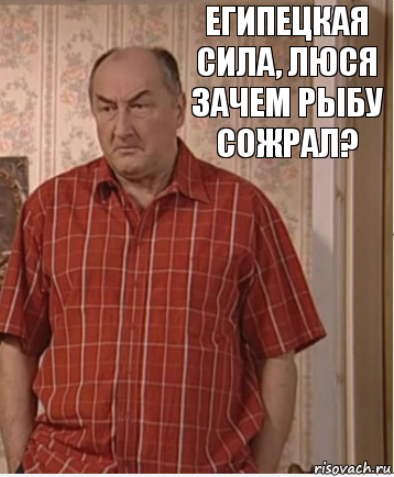 египецкая сила, Люся зачем рыбу сожрал?, Комикс Николай Петрович Воронин