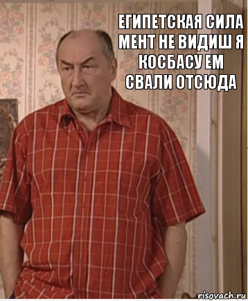 египетская сила мент не видиш я косбасу ем свали отсюда, Комикс Николай Петрович Воронин