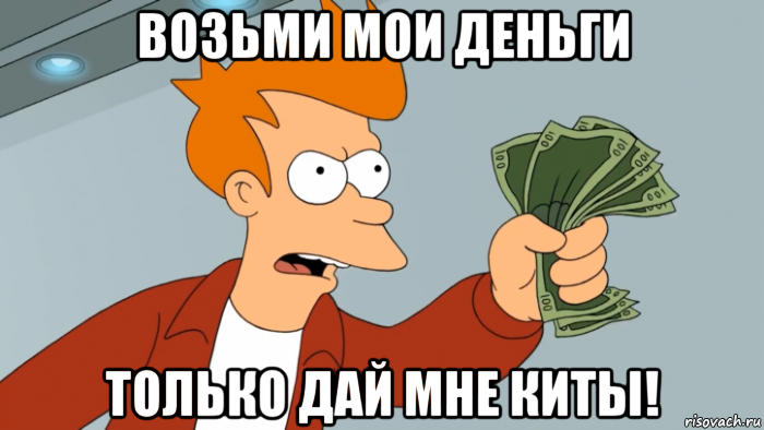 возьми мои деньги только дай мне киты!