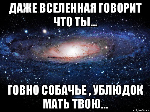 даже вселенная говорит что ты... говно собачье , ублюдок мать твою..., Мем Вселенная