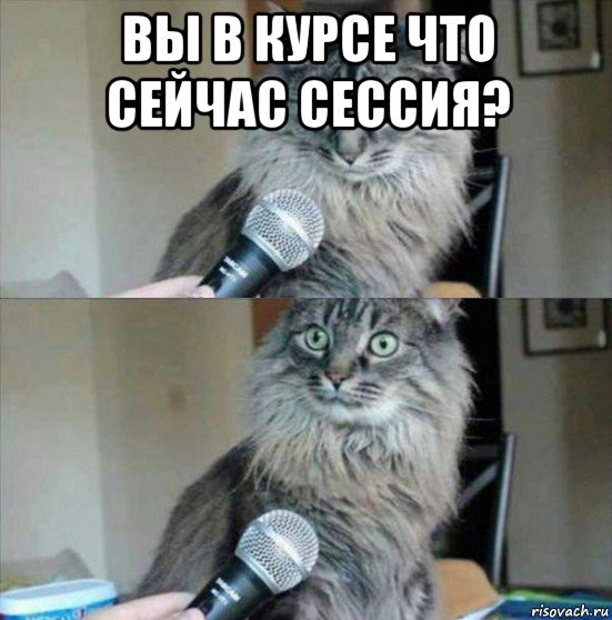 вы в курсе что сейчас сессия? 