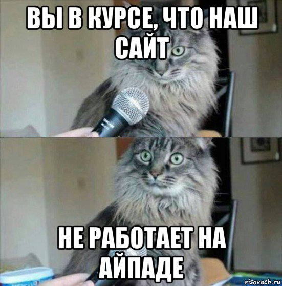 вы в курсе, что наш сайт не работает на айпаде