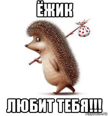 ёжик любит тебя!!!