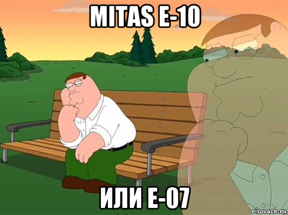 mitas е-10 или е-07, Мем Задумчивый Гриффин