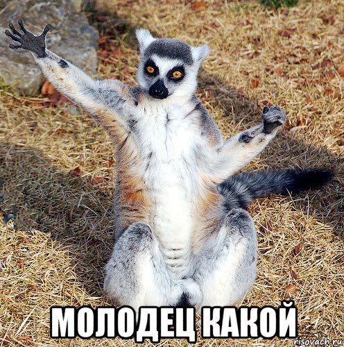  молодец какой