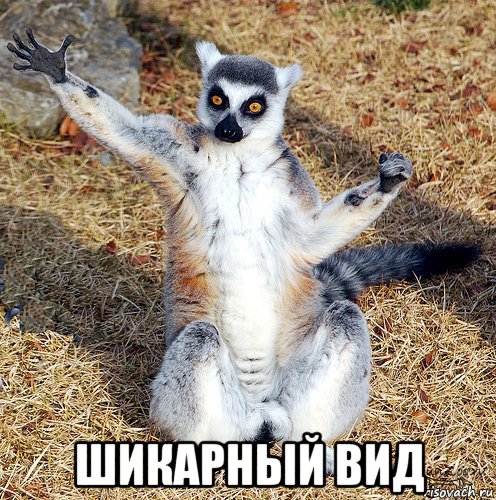  шикарный вид