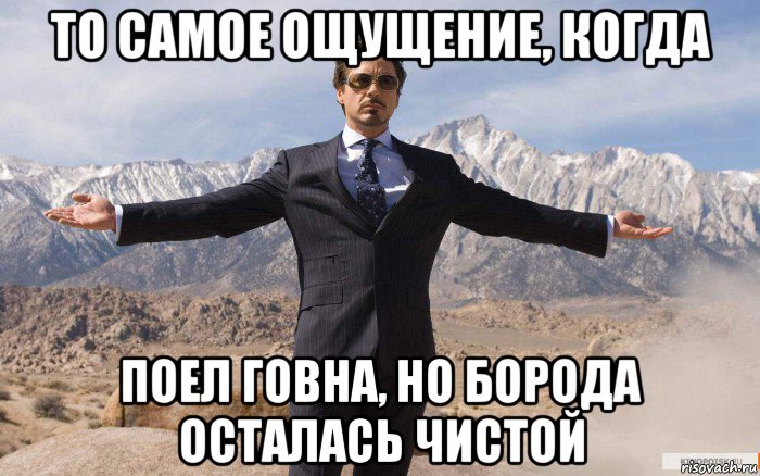 то самое ощущение, когда поел говна, но борода осталась чистой, Мем железный человек