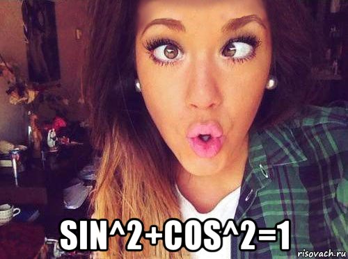  sin^2+cos^2=1, Мем женская логика