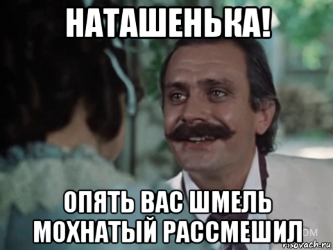наташенька! опять вас шмель мохнатый рассмешил