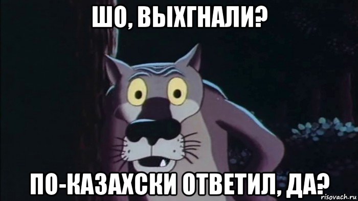 шо, выхгнали? по-казахски ответил, да?