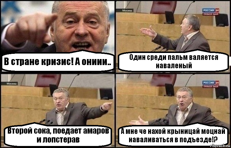 В стране кризис! А ониии.. Один среди пальм валяется наваленый Второй сока, поедает амаров и лопстерав А мне че нахой крыницай моцнай наваливаться в подъезде!?, Комикс Жириновский