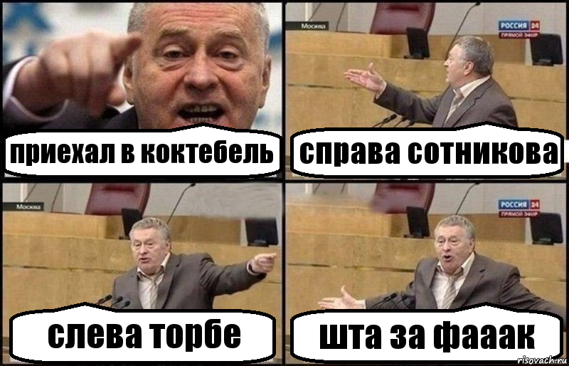 приехал в коктебель справа сотникова слева торбе шта за фааак, Комикс Жириновский