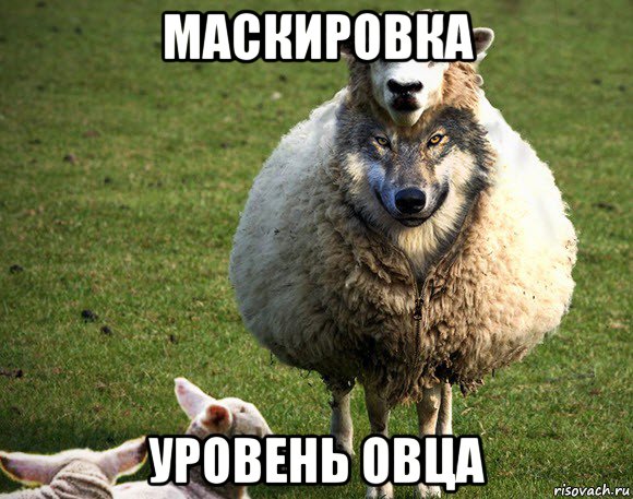маскировка уровень овца, Мем Злая Овца