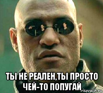  ты не реален,ты просто чей-то попугай