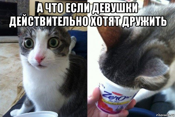 а что если девушки действительно хотят дружить , Мем А что если