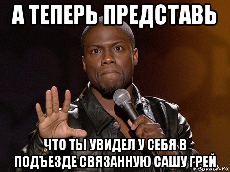 а теперь представь что ты увидел у себя в подъезде связанную сашу грей, Мем  А теперь представь