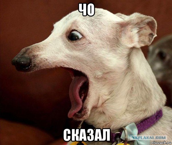 чо сказал