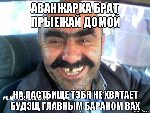 аванжарка брат прыежай домой на пастбище тэбя не хватает будэщ главным бараном вах