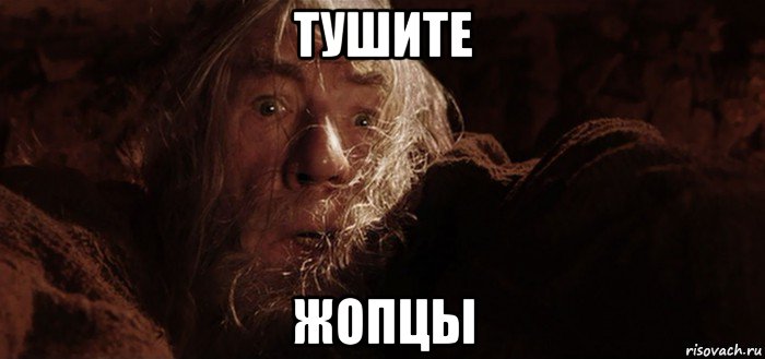 тушите жопцы, Мем Бегите глупцы