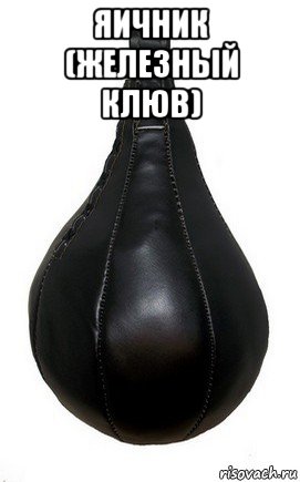 яичник (железный клюв) 