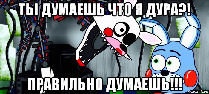 ты думаешь что я дура?! правильно думаешь!!!