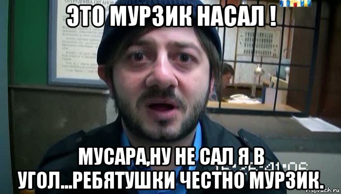 это мурзик насал ! мусара,ну не сал я в угол...ребятушки честно мурзик., Мем Бородач