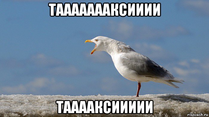 таааааааксииии тааааксиииии