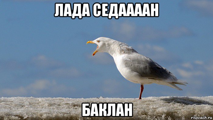 лада седаааан баклан