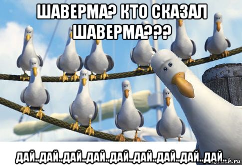 шаверма? кто сказал шаверма??? дай..дай..дай..дай..дай..дай..дай..дай..дай..