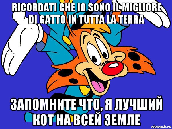 ricordati che io sono il migliore di gatto in tutta la terra запомните что, я лучший кот на всей земле, Мем Чокнутый