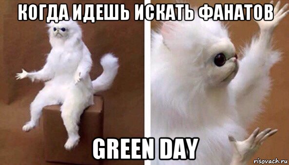 когда идешь искать фанатов green day, Мем Чучело кота