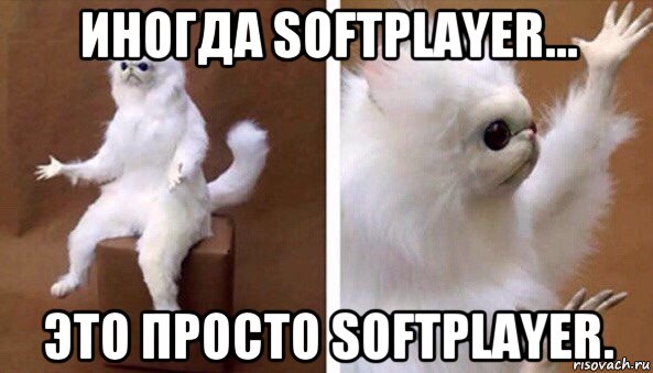 иногда softplayer... это просто softplayer., Мем Чучело кота