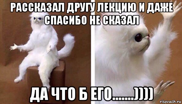 рассказал другу лекцию и даже спасибо не сказал да что б его.......)))), Мем Чучело кота