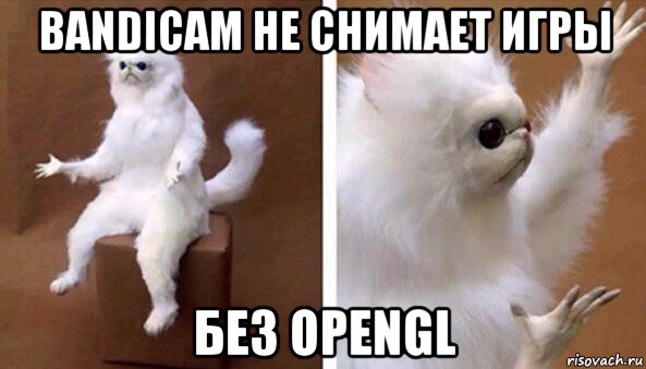 bandicam не снимает игры без opengl, Мем Чучело кота