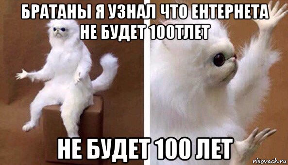 братаны я узнал что ентернета не будет 100тлет не будет 100 лет, Мем Чучело кота