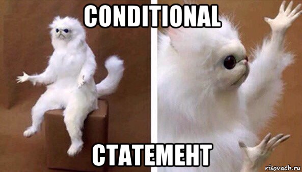 conditional статемент, Мем Чучело кота