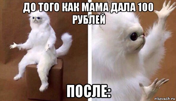 до того как мама дала 100 рублей после:, Мем Чучело кота